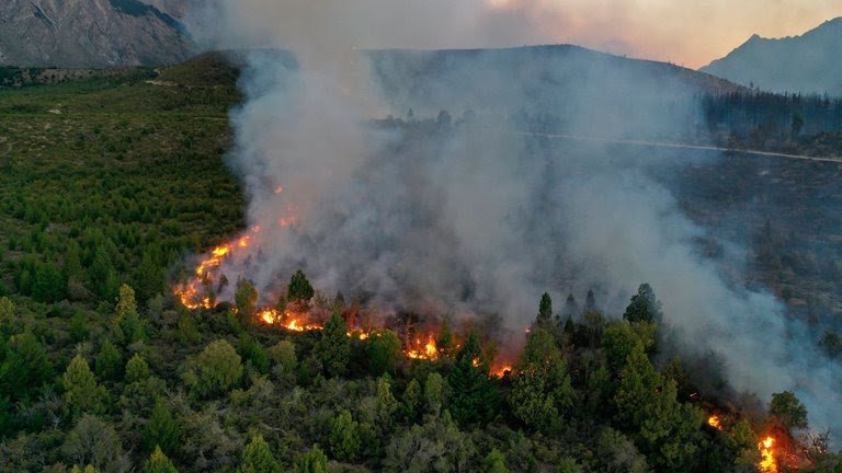 El daño ambiental ya es el más grande de la historia de El Bolsón
