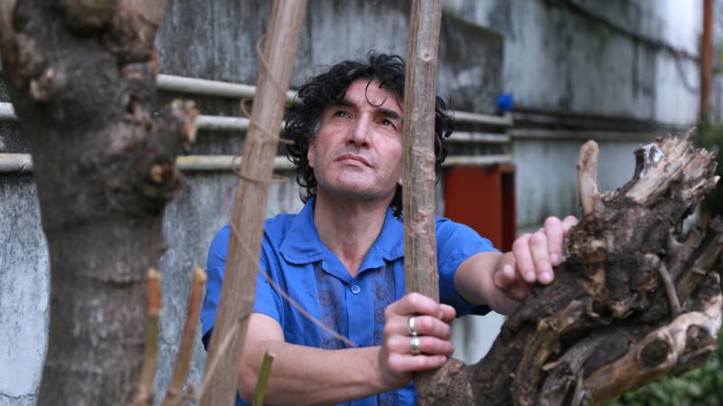 Falleció el músico Willy Crook