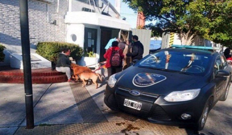 Atropelló a un paseador y mató cuatro perros