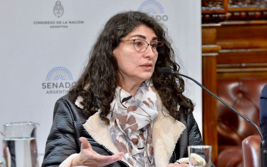 Senadora Ianni pide avanzar con la reglamentación del transporte de menores
