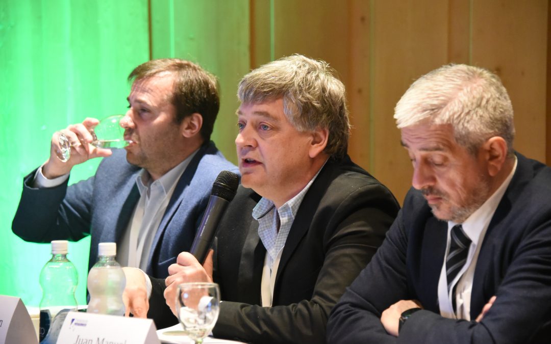 Oliva: “Para desarrollar las energías renovables en el sur es fundamental reforzar el Interconectado Eléctrico”