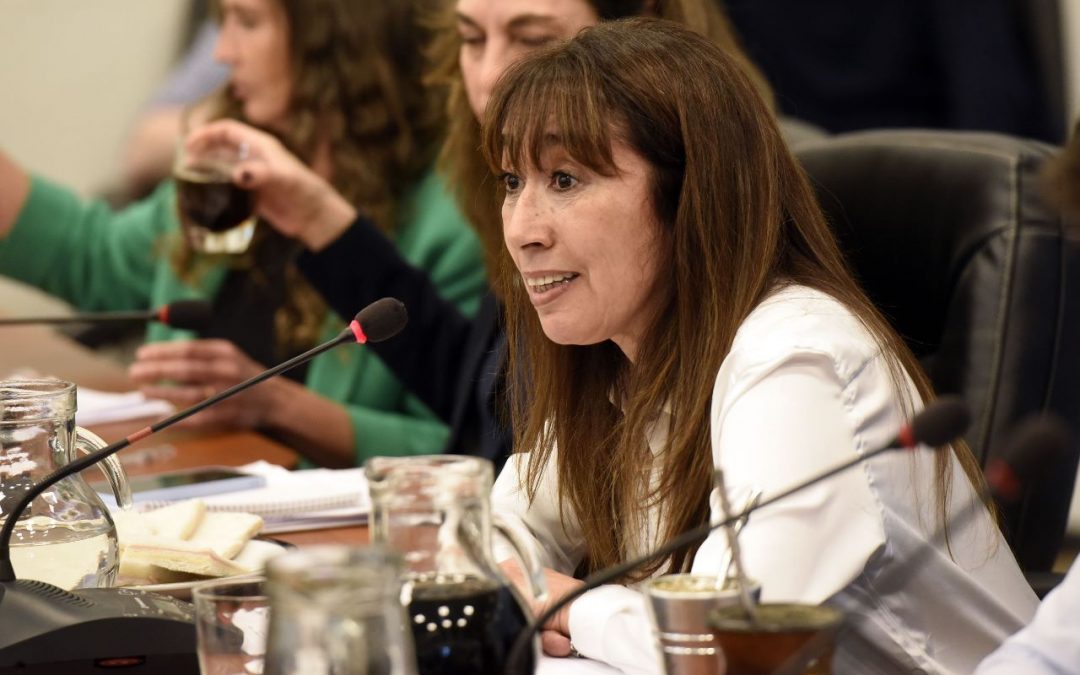 Roxana Reyes denuncia ajuste en las áreas de Niñez