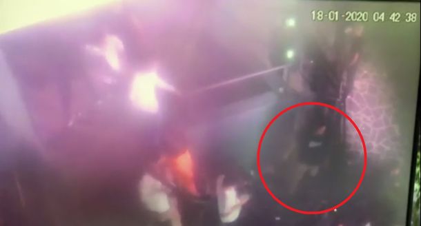 Juicio por el crimen de Fernando Báez Sosa: qué declaró la recepcionista que vio huir a los rugbiers