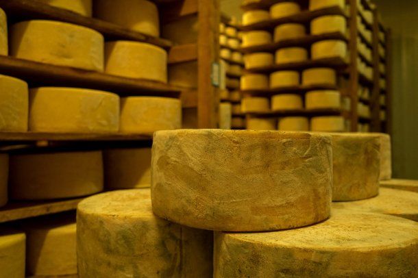 ANMAT prohibió un queso sardo: qué marca no hay que comprar