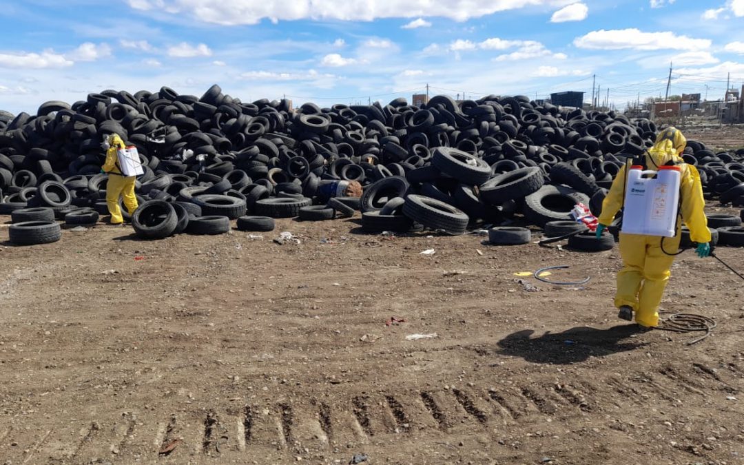 Avanzan las tareas de fumigación en el Vaciadero Municipal