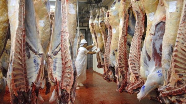 Se terminó la prohibición y desde ahora se podrá exportar cualquier tipo de cortes de carne