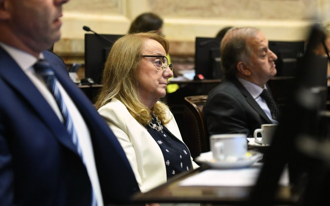 Alicia: “Milei no puede ignorar la Constitución ni enviar ni recibir tropas sin autorización del Congreso”