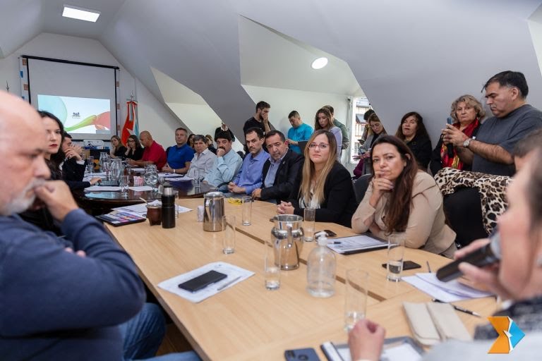 Emergencia comercial en Tierra del Fuego: las Cámaras de Comercio debatieron el proyecto con legisladores