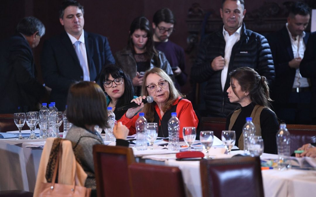 Alicia: “La Ley Bases tiene serios problemas y debe ser revisada en Diputados ”