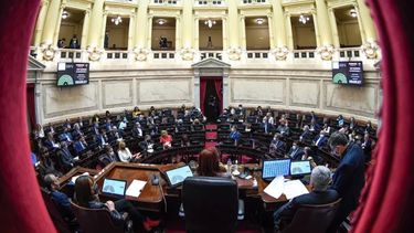 Ley Bases: tras obtención del dictamen, Gobierno estimó la fecha para el debate en el Senado