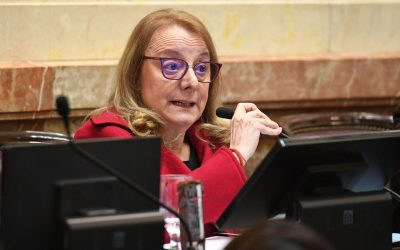Alicia: “El Gobierno de Milei le está diciendo ‘adiós a los derechos y hola a la violencia´”
