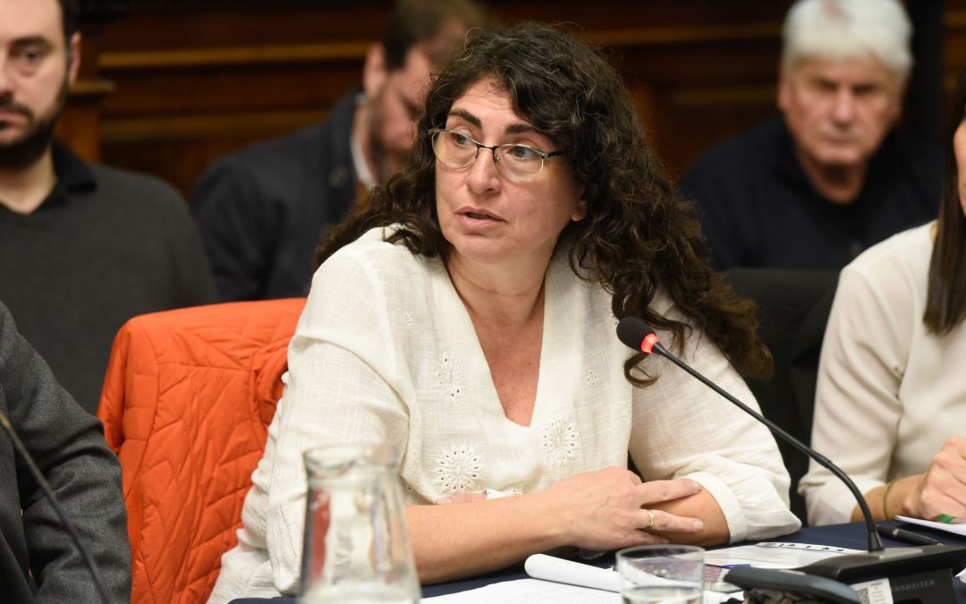 Ianni: “Necesitamos reglas claras para el turismo estudiantil”