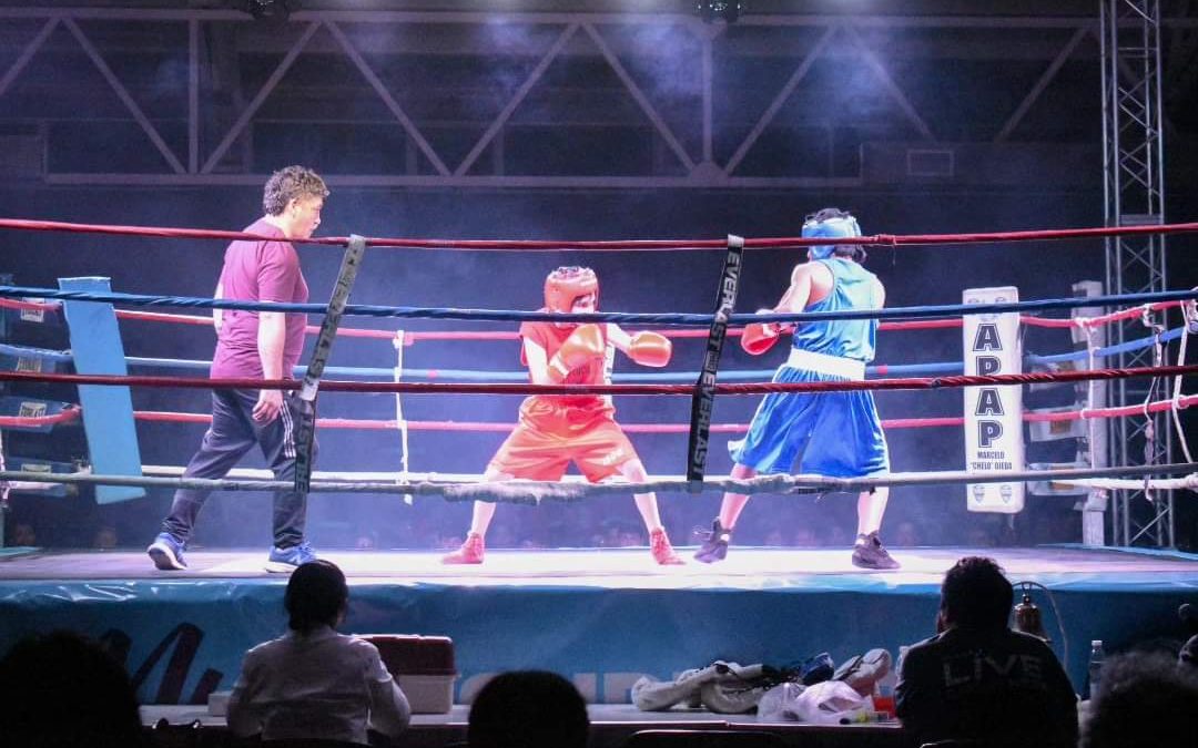 Resultados del Festival de Boxeo «Nuevas Promesas»