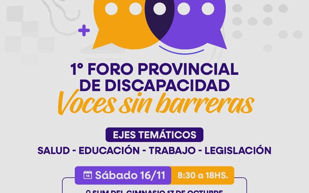Río Gallegos será sede del Primer Foro Provincial de Discapacidad «Voces sin Barreras»