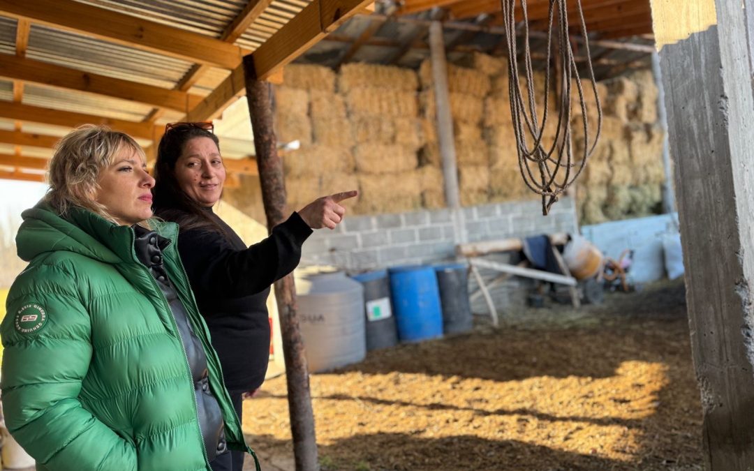 Rio Gallegos busca fomentar el desarrollo productivo regional a través del Mercado del Atlántico