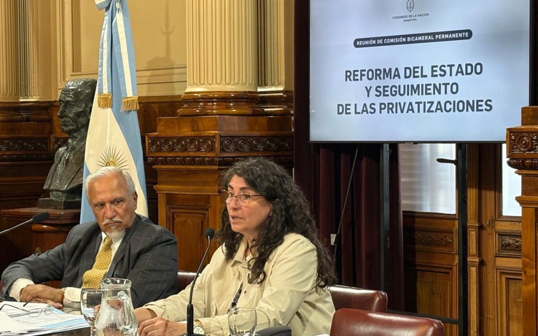 Ianni fue designada vicepresidenta de la Comisión Bicameral de Privatizaciones
