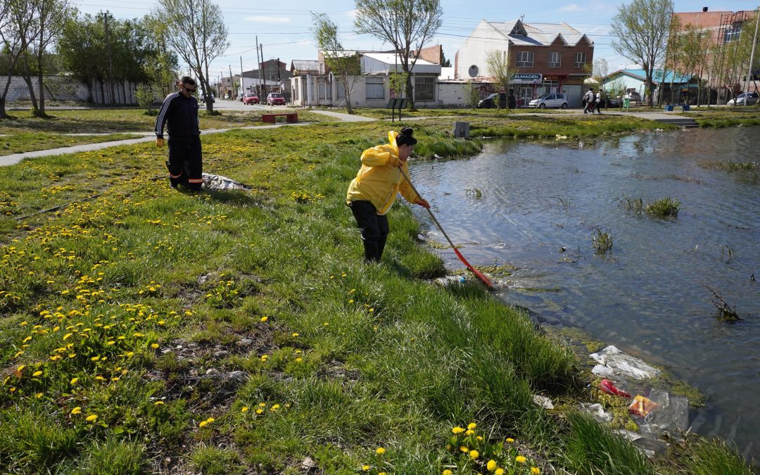 Plan de ordenamiento y limpieza barrial: el Municipio realizó una nueva jornada en el barrio Gaucho Rivero