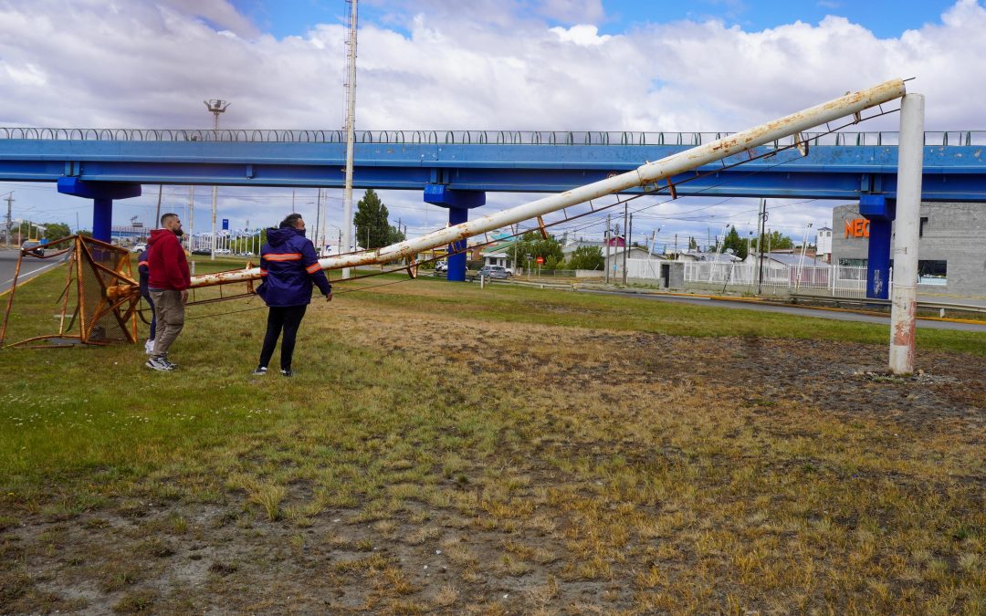 El Municipio solicitó a Servicios Públicos el retiro inmediato de una palma de iluminación caída por falta de mantenimiento