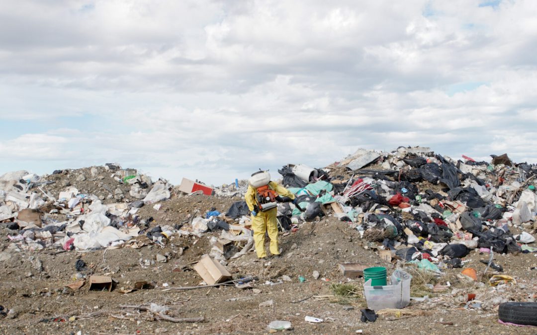 Municipio refuerza las fumigaciones en el vaciadero para controlar la proliferación de moscas