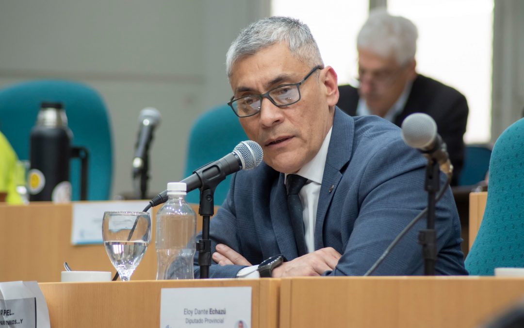 Tarifazos y quita de subsidios: Echazú advirtió que el ajuste golpeará de lleno a las familias santacruceñas