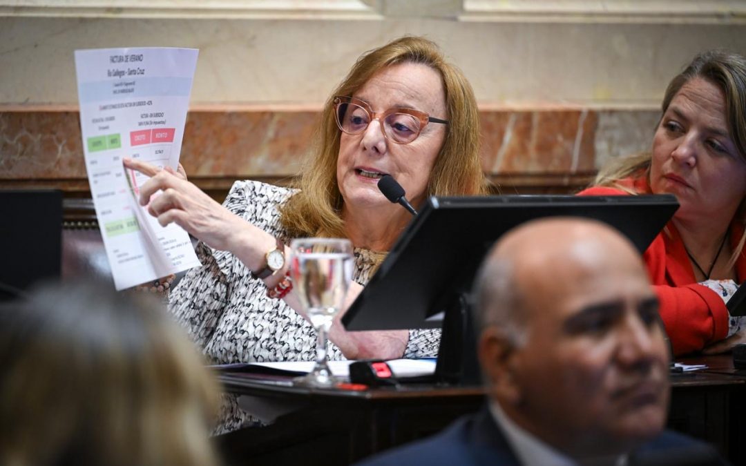 Alicia Kirchner logró el tratamiento del proyecto que protege los subsidios de tarifas de gas