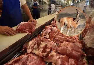 La Sociedad Rural propuso habilitar la carne de guanaco en todo el país como alternativa de consumo