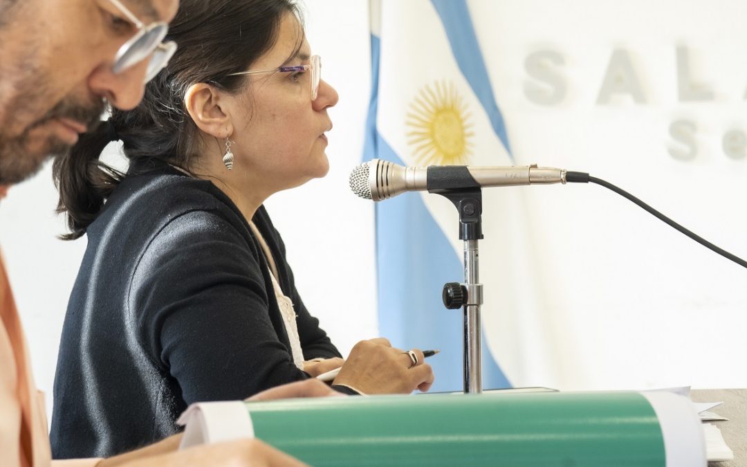 Nueva jornada de labor en comisiones en la Cámara de Diputados de Santa Cruz