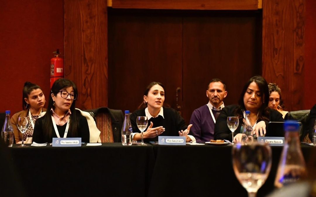 Sin conectividad no hay turismo: el reclamo de Río Gallegos