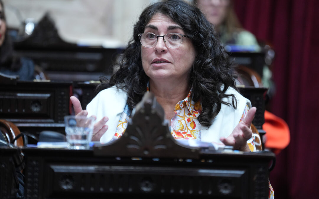 Ianni cuestionó con dureza al Gobierno por la modificación de la Zona Fría: “Quieren recortar derechos y entregar nuestros recursos”