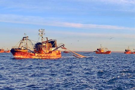 Pesca: Quedó oficialmente habilitada la apertura de la temporada de langostino 2026