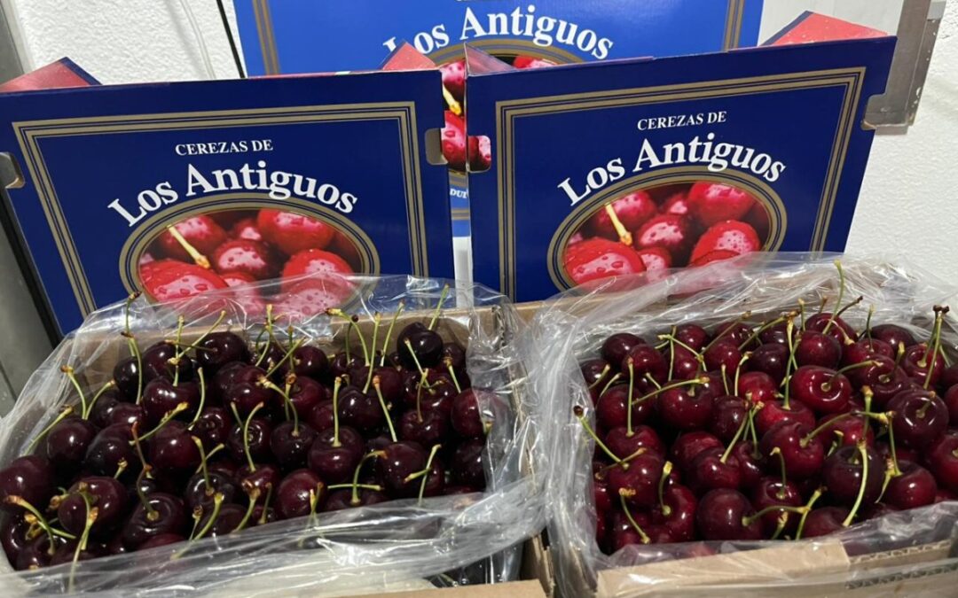 RUMBO A LA PRIMERA EXPORTACIÓN CON SELLO PROPIO  La cereza de Los Antiguos se prepara para su primera exportación con sello propio