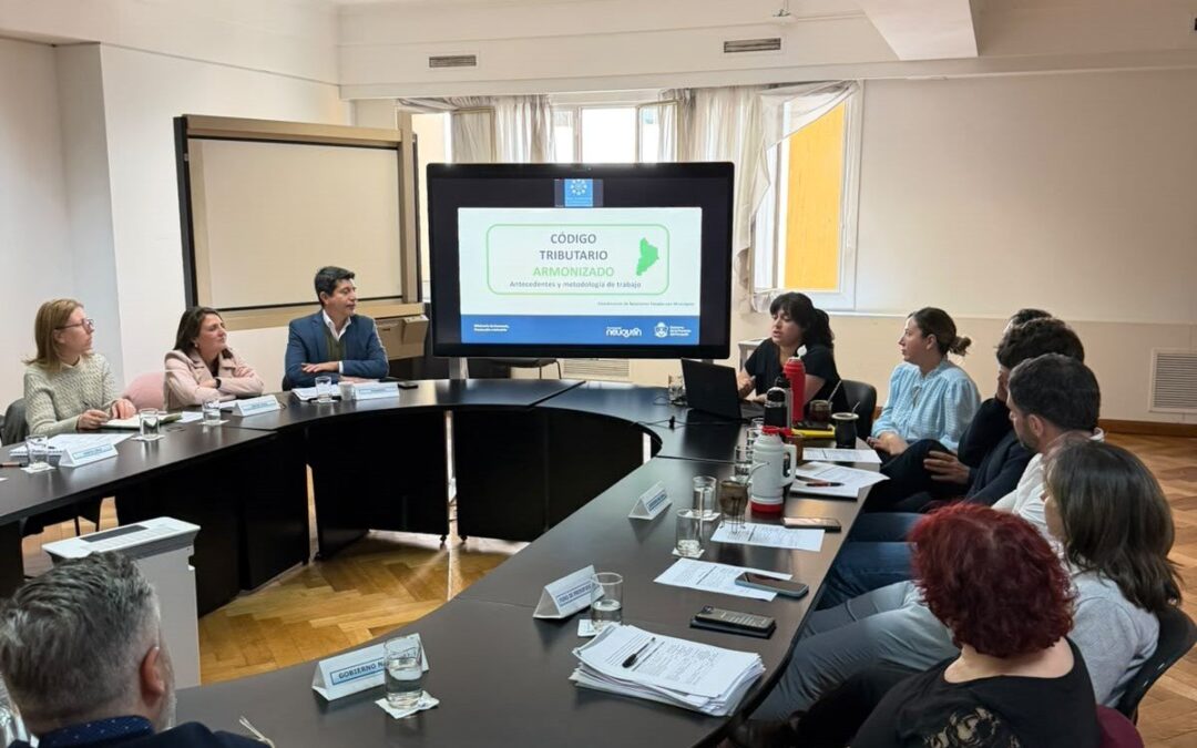 Santa Cruz avanza junto a Nación en la armonización tributaria y presupuestaria municipal