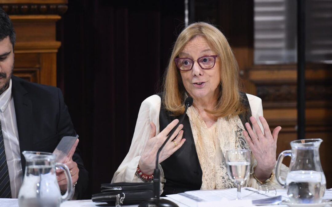 SENADO: Alicia advirtió que la ley de inviolabilidad de la propiedad privada implica pérdida de soberanía nacional