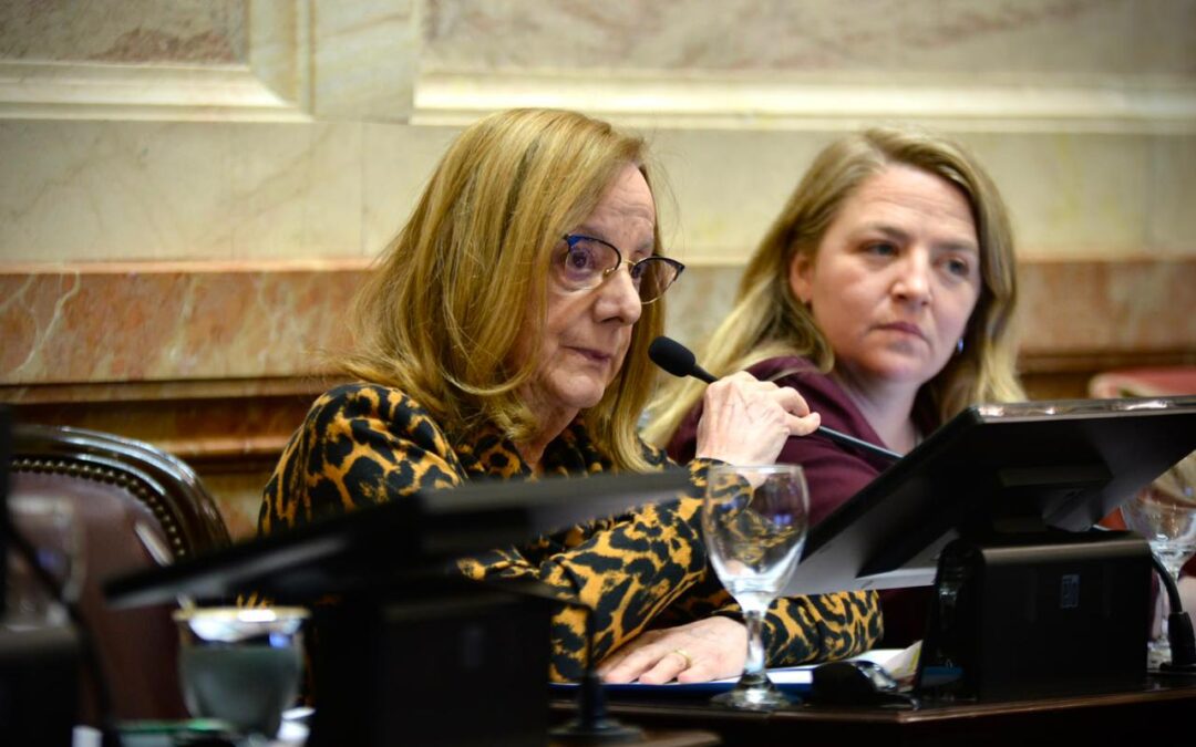 Alicia reclamó avanzar con la creación de la Comisión Bicameral de Inteligencia Artificial