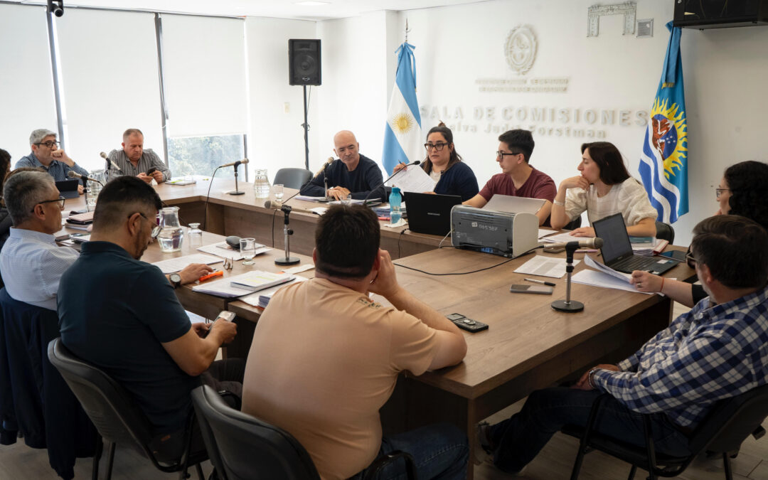 DIPUTADOS: CONTINÚA EN ANÁLISIS EL PROYECTO QUE ESTABLECE EL CÓDIGO ELECTORAL DE SANTA CRUZ