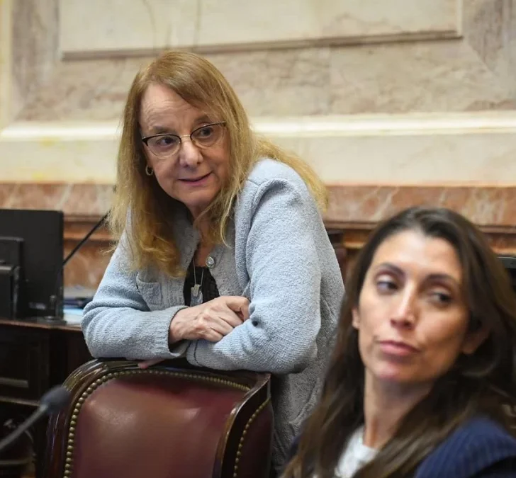 Senadores patagónicos presentan el proyecto ABRIGAS para garantizar el acceso justo y sostenible al gas